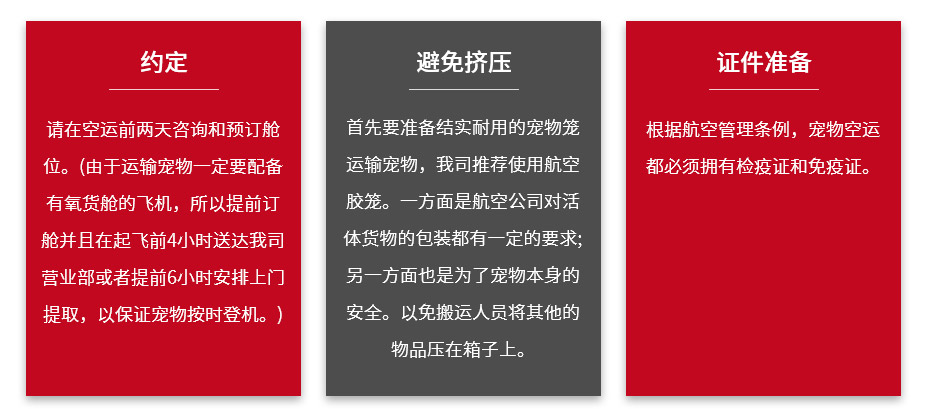 宠物_03.jpg